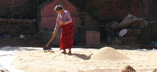 Nepal Culture